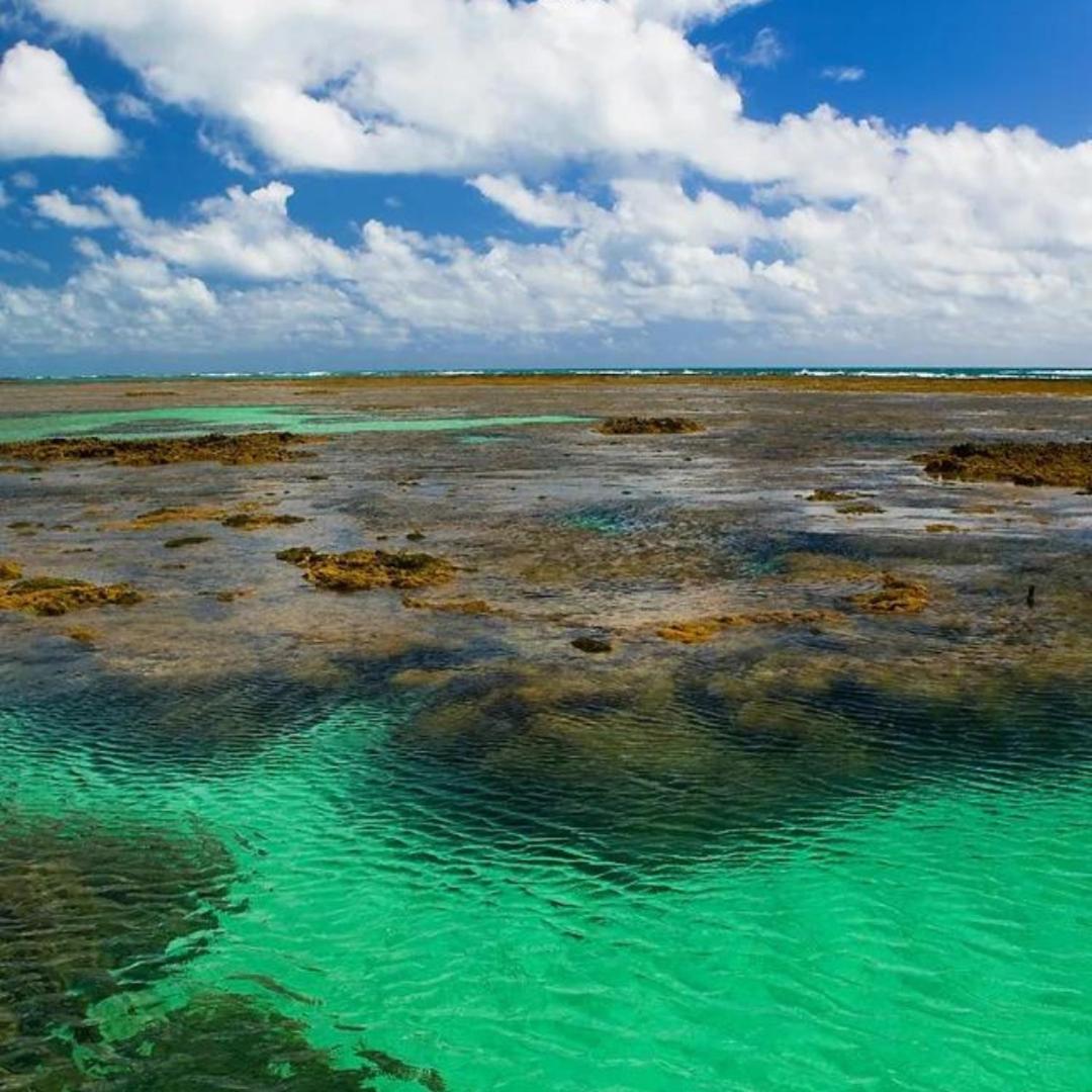 Pousada Solar Dos Carneiros Praia dos Carneiros Kültér fotó